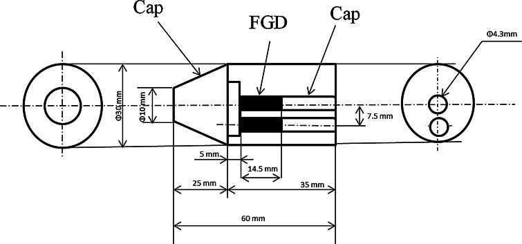 Fig. 1