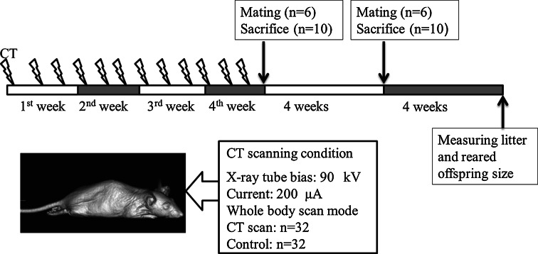 Fig. 2