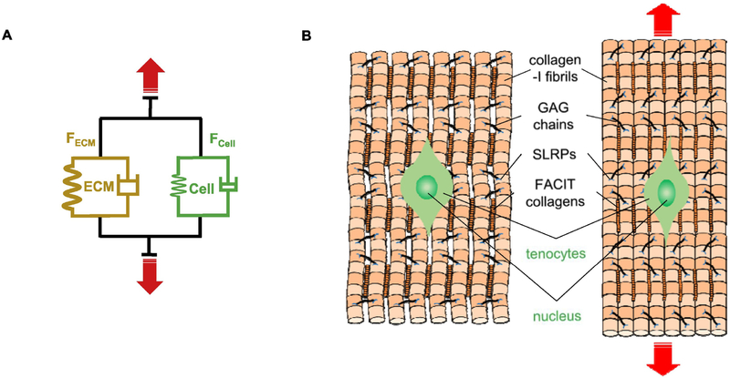 Fig. 2: