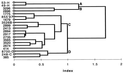 FIG. 1