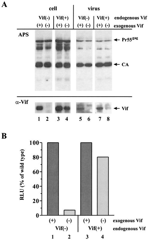 FIG. 6.