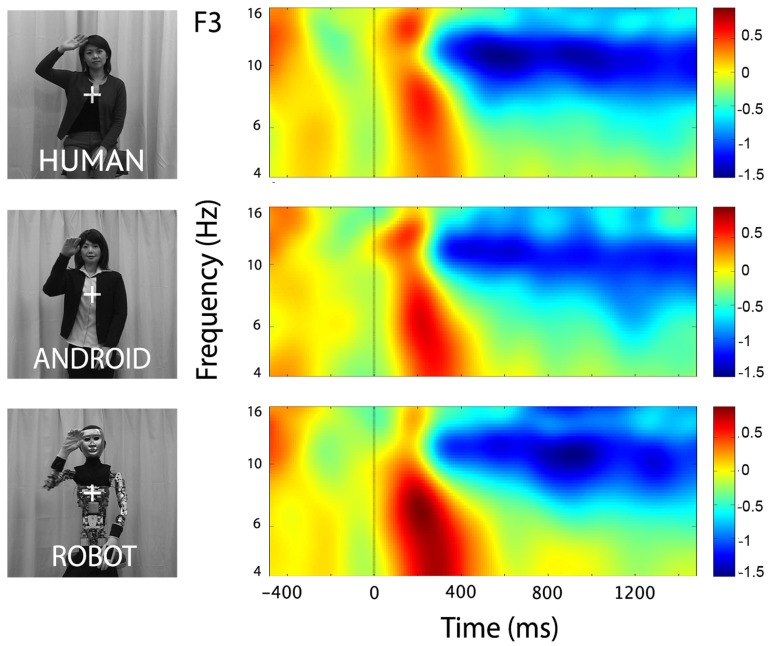 FIGURE 4