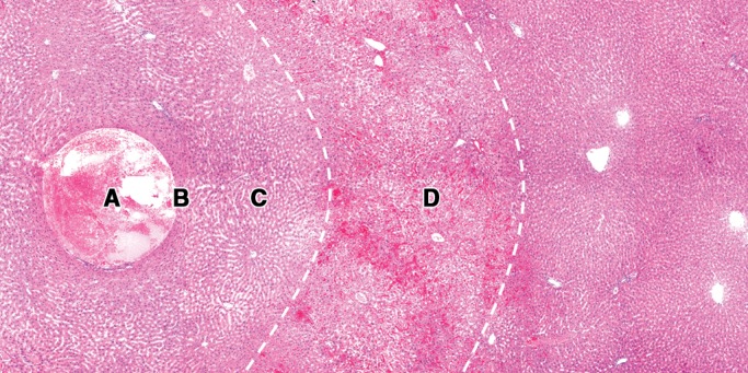 Figure 6b: