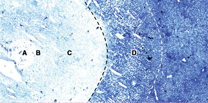 Figure 6a: