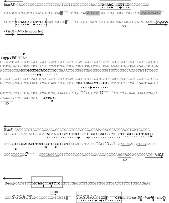 Fig. 2