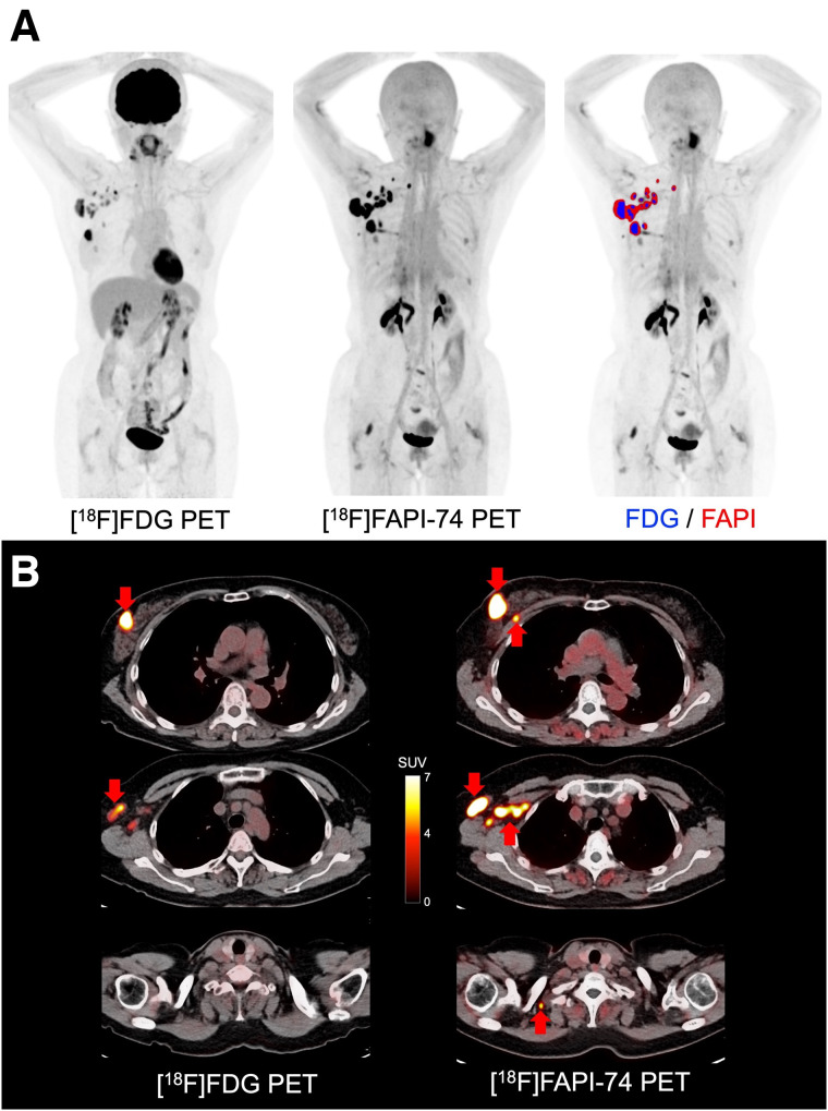 FIGURE 4.