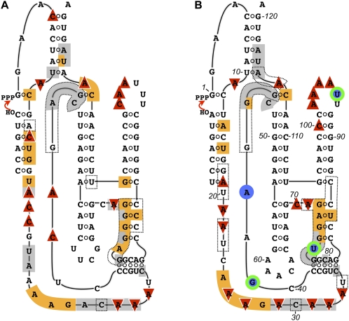 FIGURE 7.