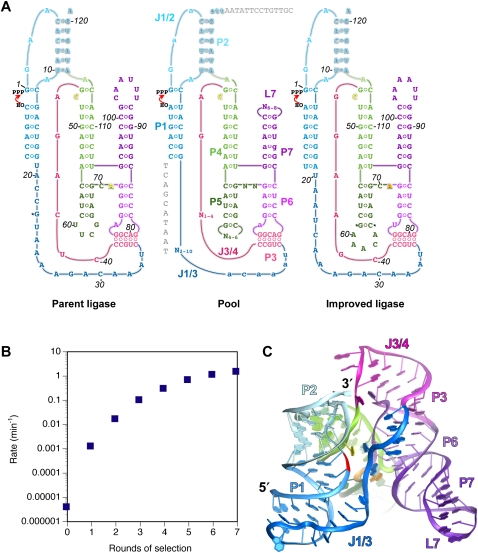 FIGURE 1.