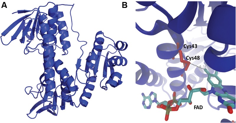 FIGURE 5