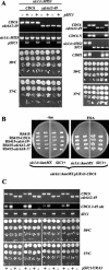 Figure 4.