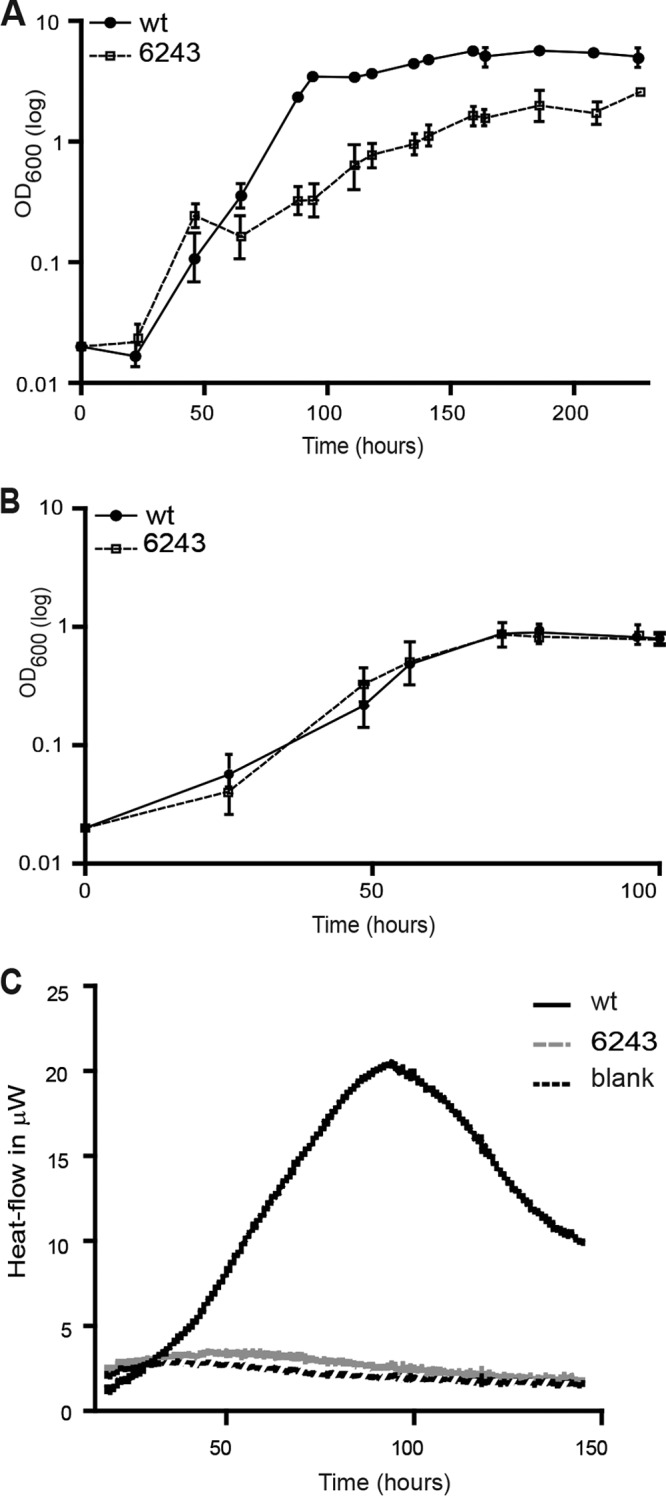 FIG 3