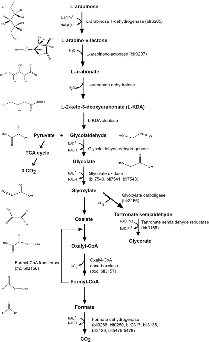 FIG 1