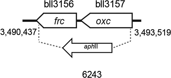 FIG 2