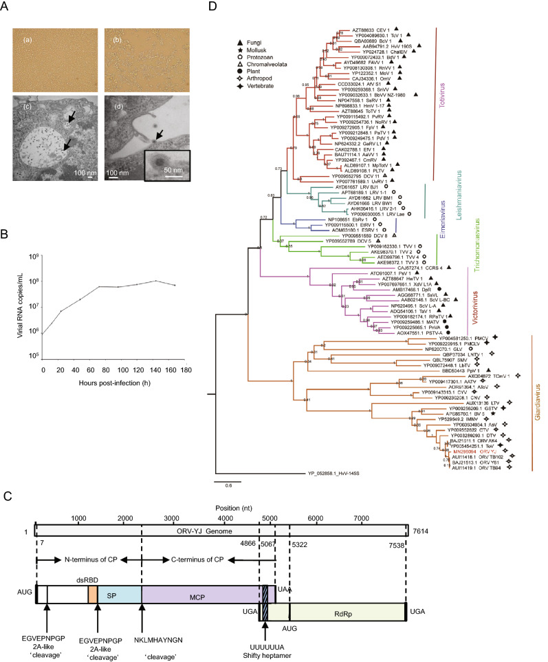 Fig. 1