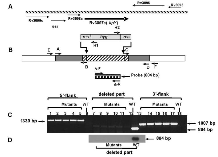 FIGURE 3