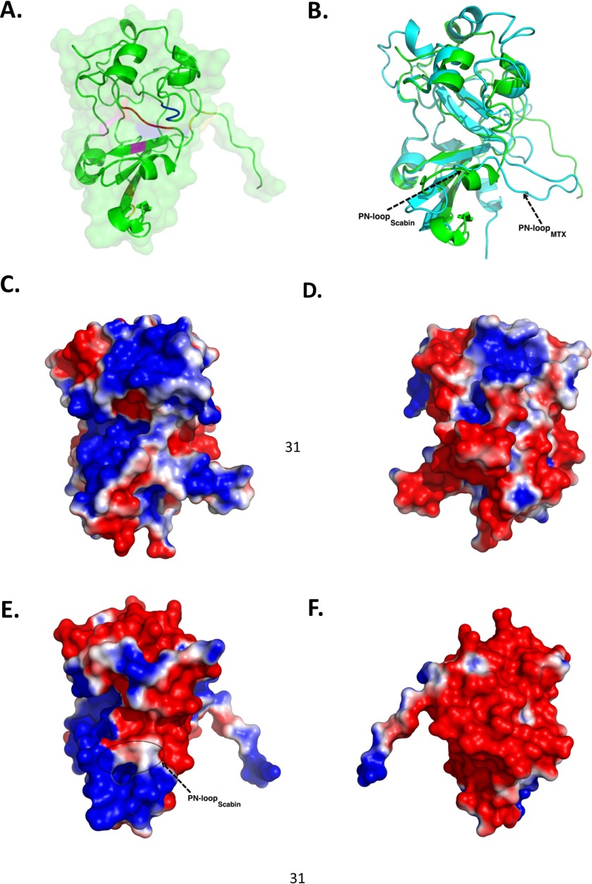 FIGURE 5.