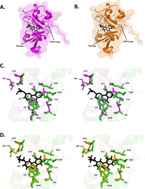 FIGURE 6.