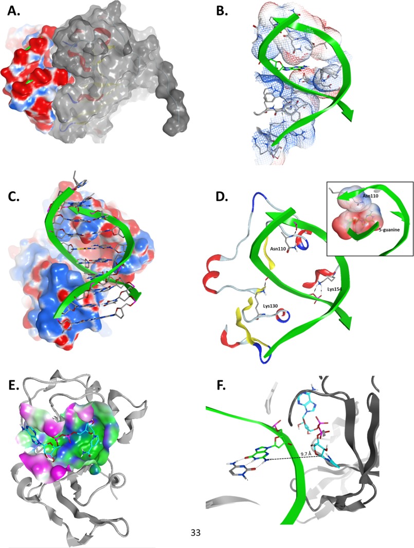 FIGURE 7.