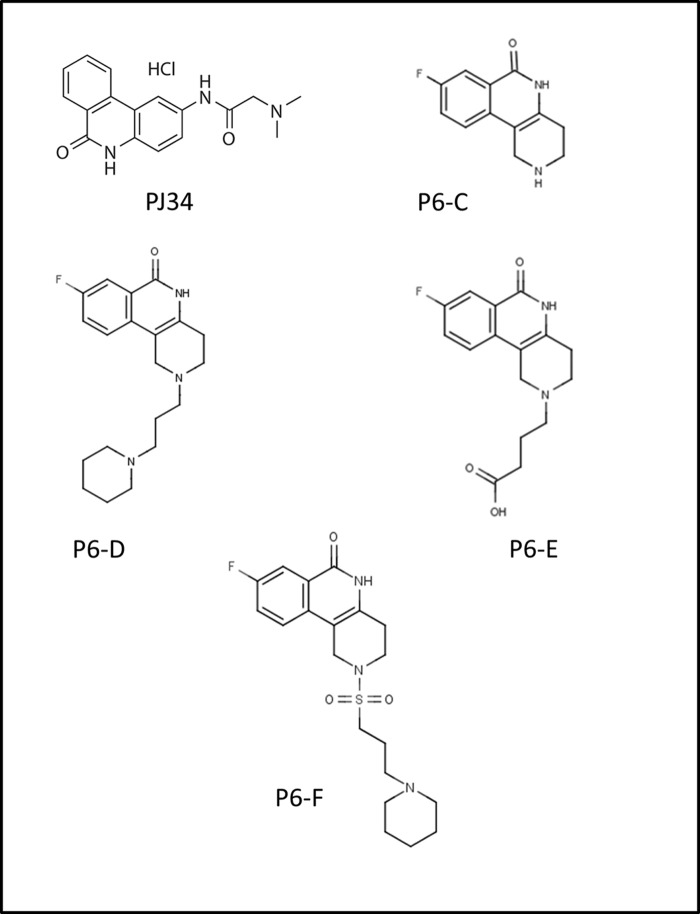 FIGURE 4.