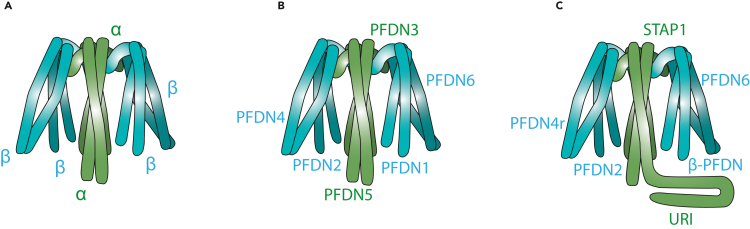 Figure 1