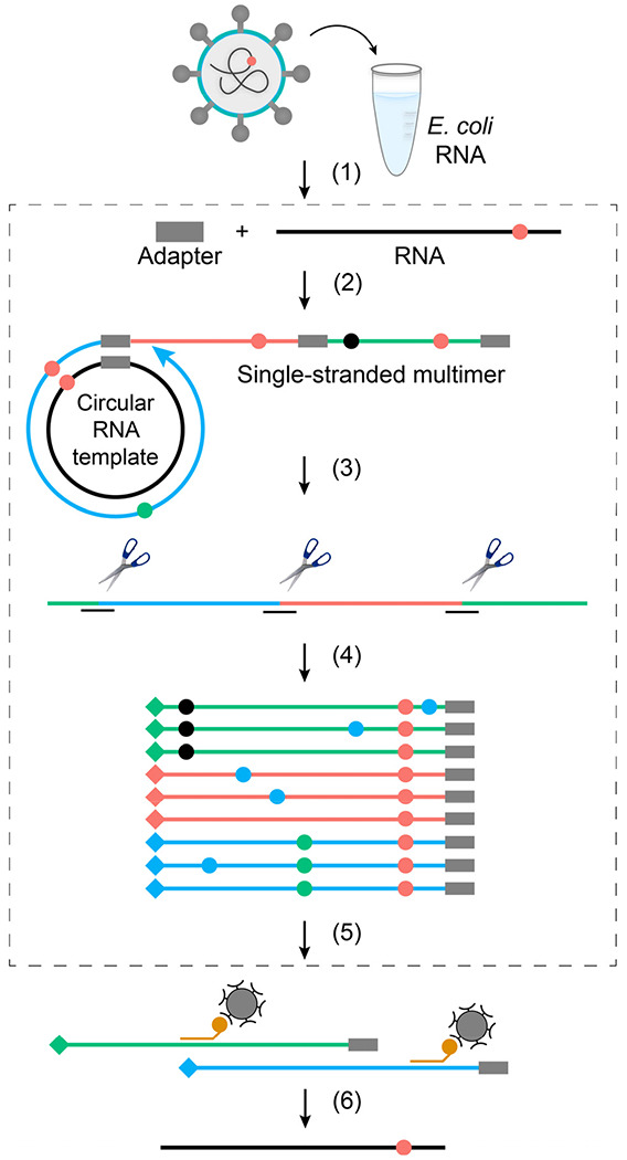 Figure 1 |