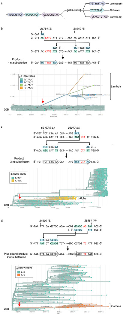 Extended Data Figure 9 |