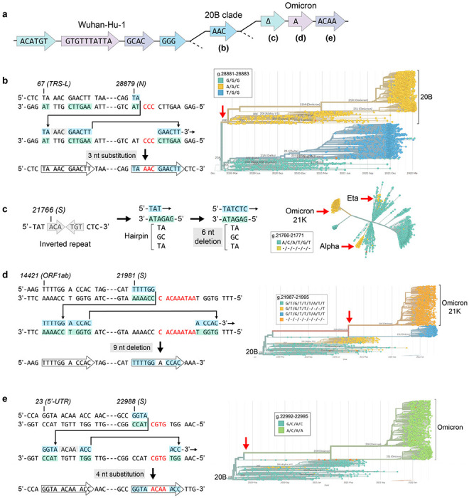 Figure 4 |