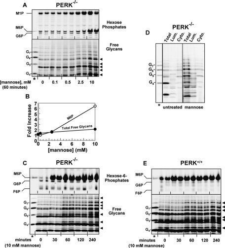 FIGURE 7: