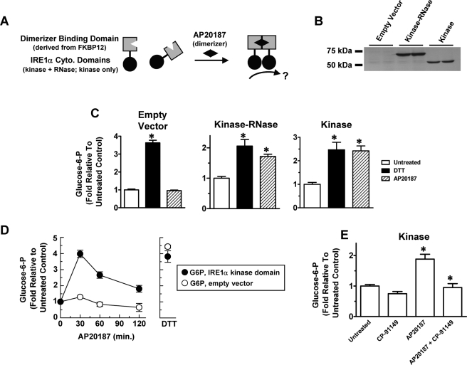 FIGURE 9: