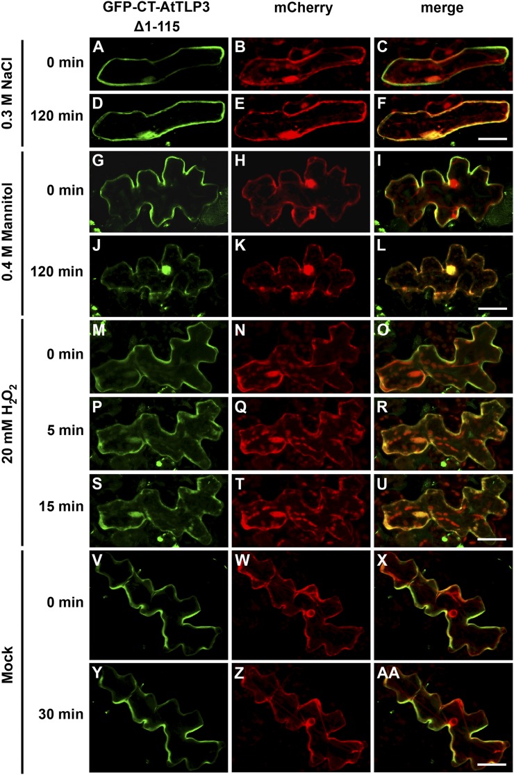 Figure 6.