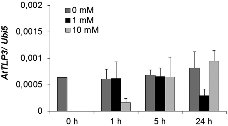 Figure 7.