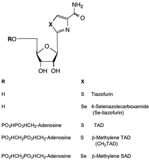 FIG. 6.