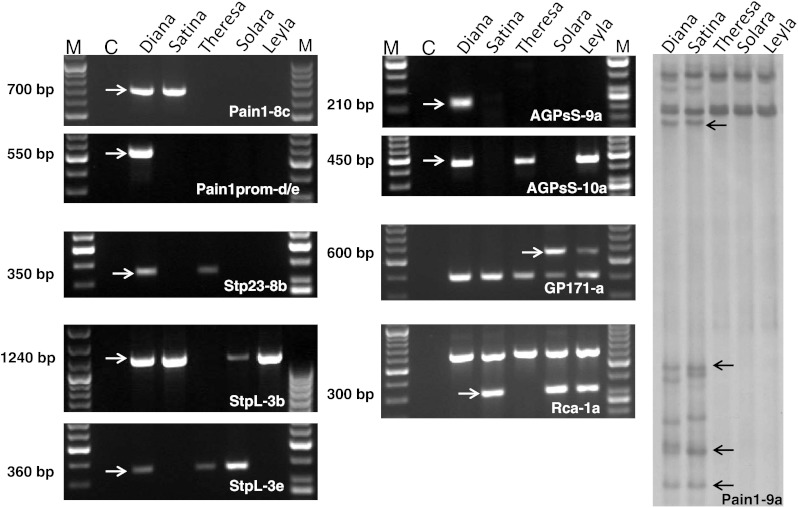 Fig. 1