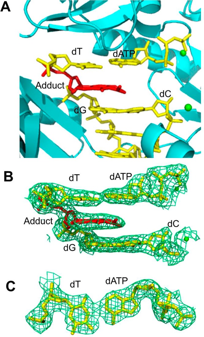 Figure 7