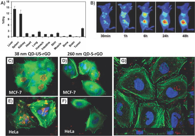 Figure 39