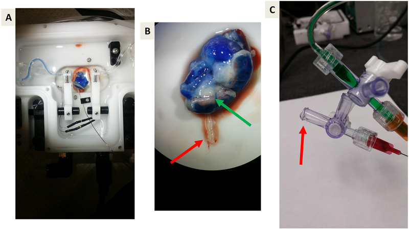 Figure 5: