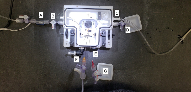 Figure 2: