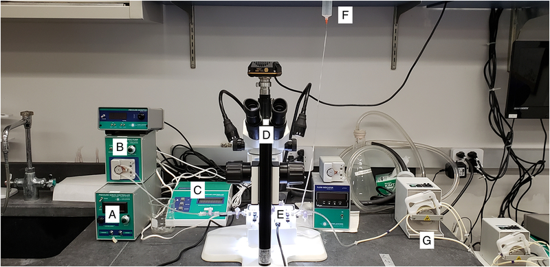 Figure 3: