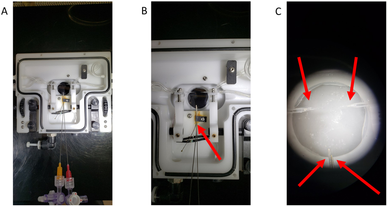 Figure 1: