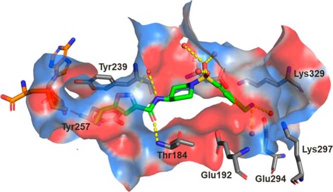 Figure 3