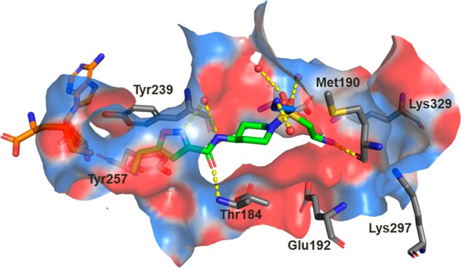 Figure 2