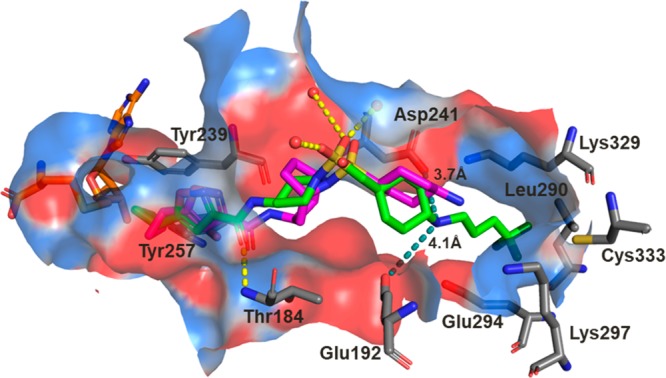 Figure 4