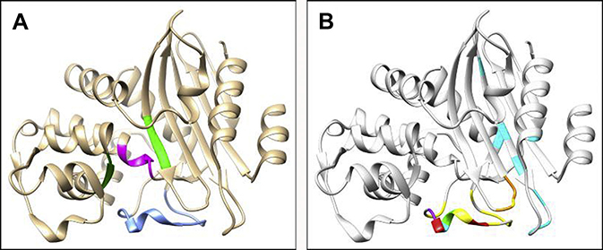 Fig. 7.