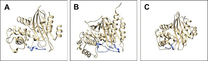 Fig. 3.