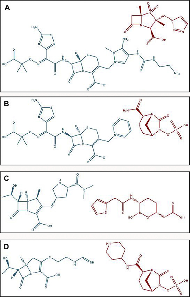 Fig. 1.