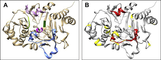 Fig. 4.