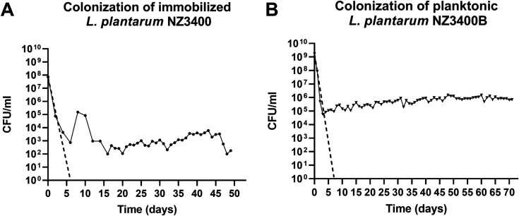 FIG 2