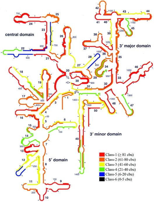 FIG. 3.