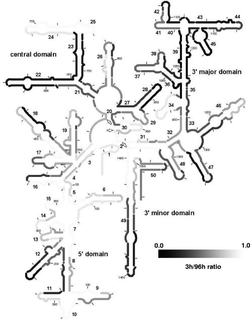 FIG. 7.