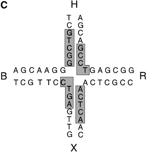 graphic file with name cdg132f6c.jpg